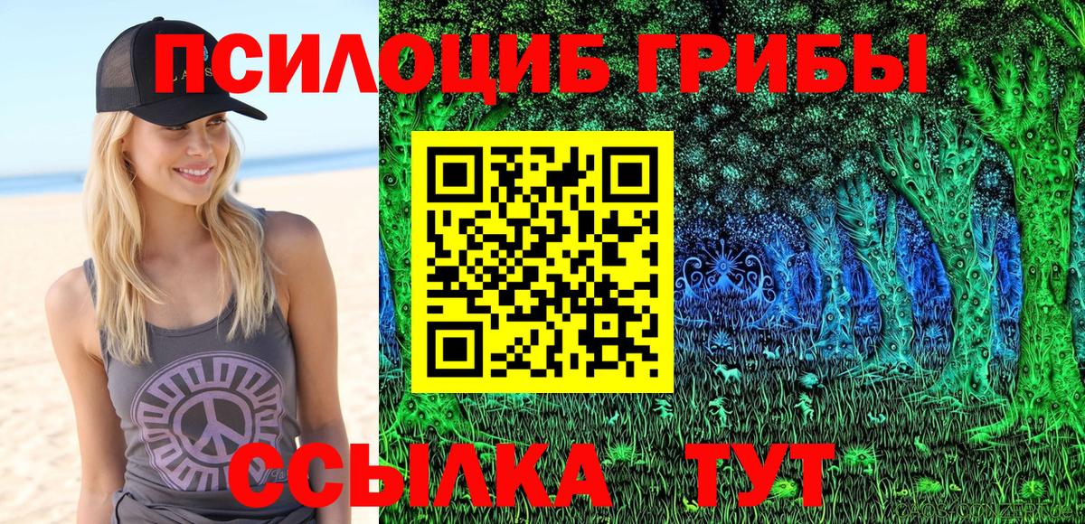 Галлюциногенные грибы Magic Shrooms Скопин